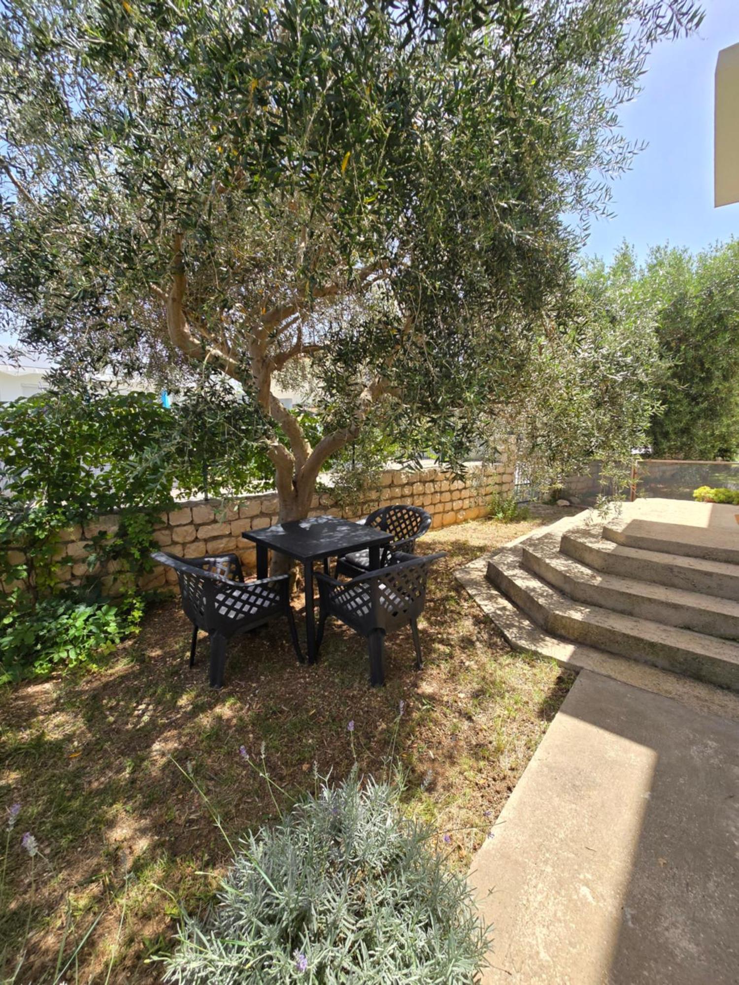Apartman Nea 닌 외부 사진
